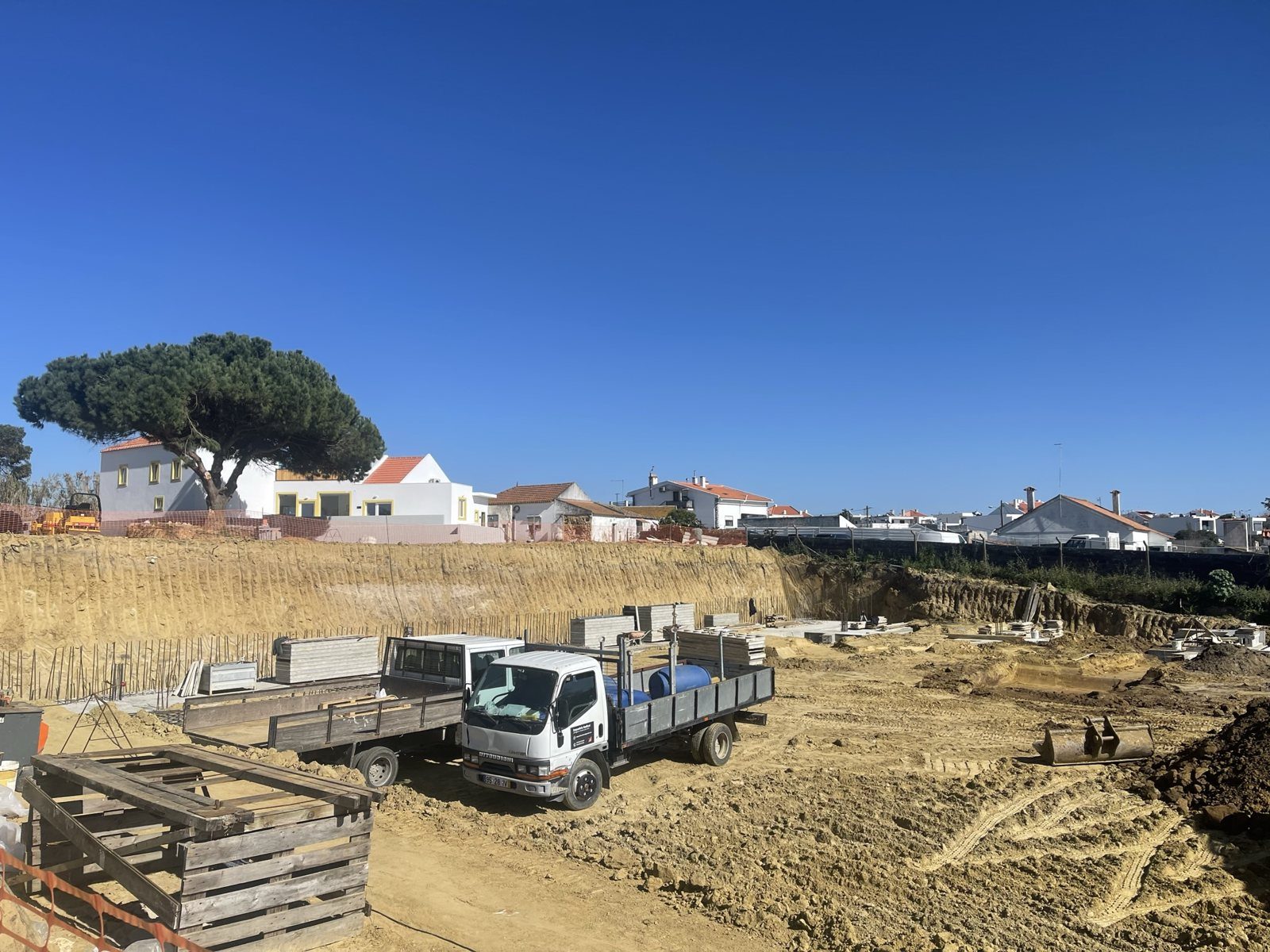 Excavation, keeping the existing pine